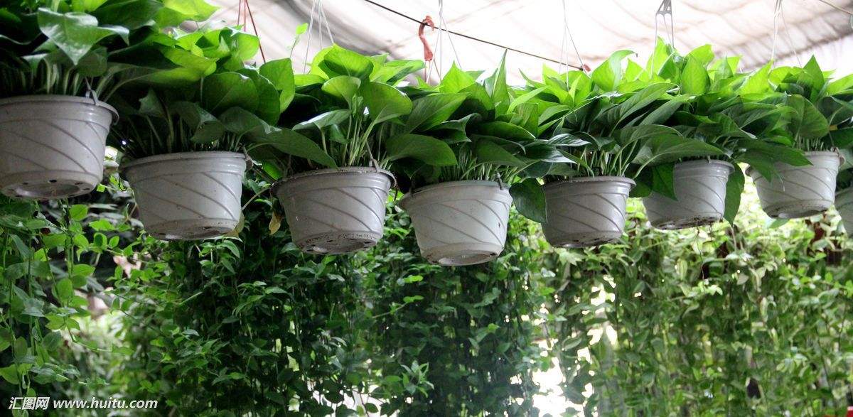 如何可以搞笑的去除貨架上的油漆味內呢